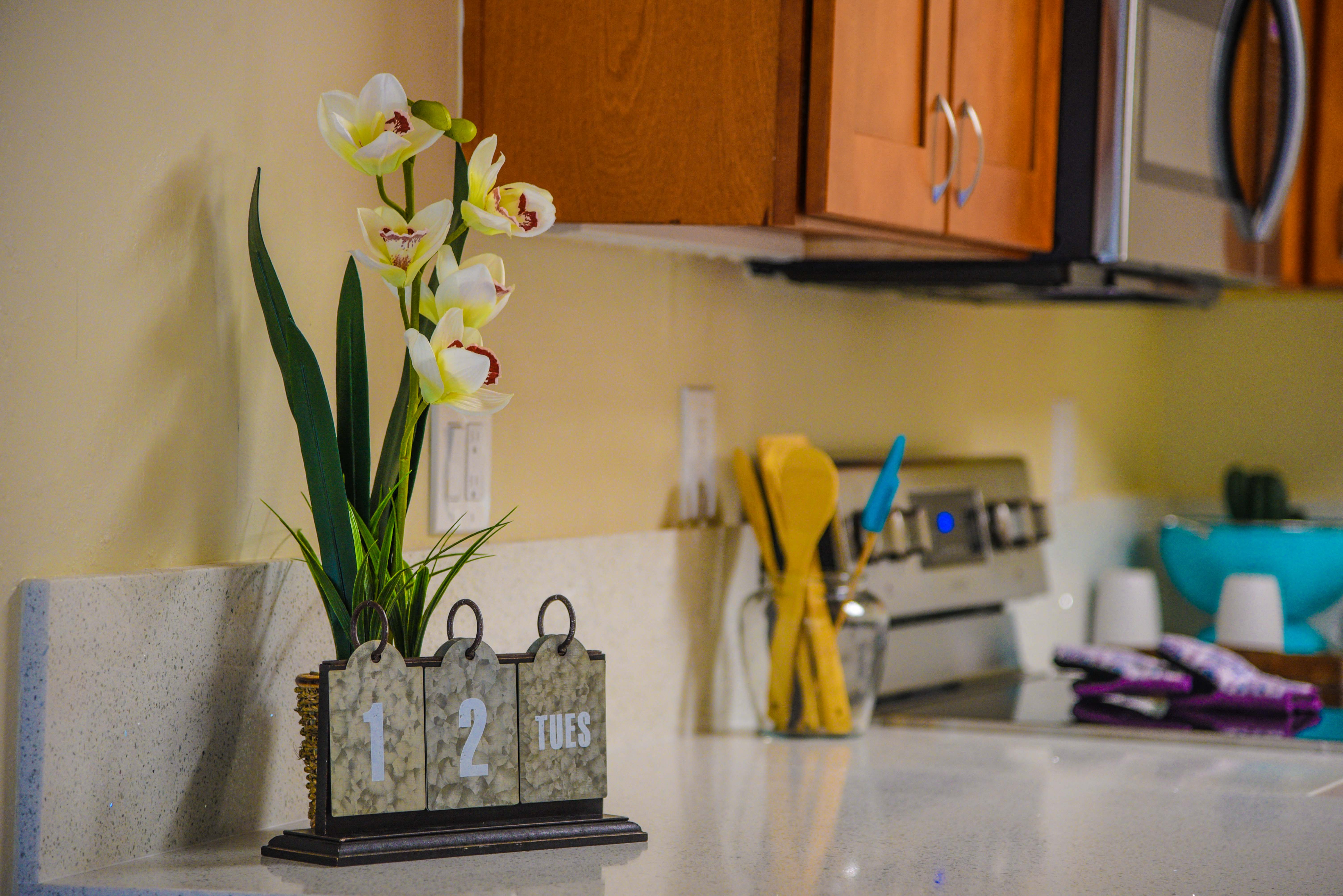 Brace Apartments photo 4